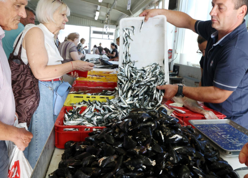 Fotografija 1 - FOTO Petak je, dan od ribe, na šibenskoj peškariji raznovrsna ponuda