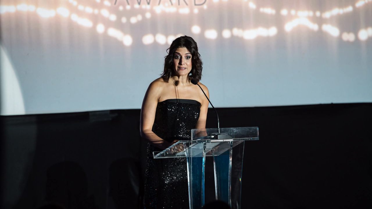 Zvijezde i crveni tepih u Šibeniku: Počeo Croatian International Film Festival