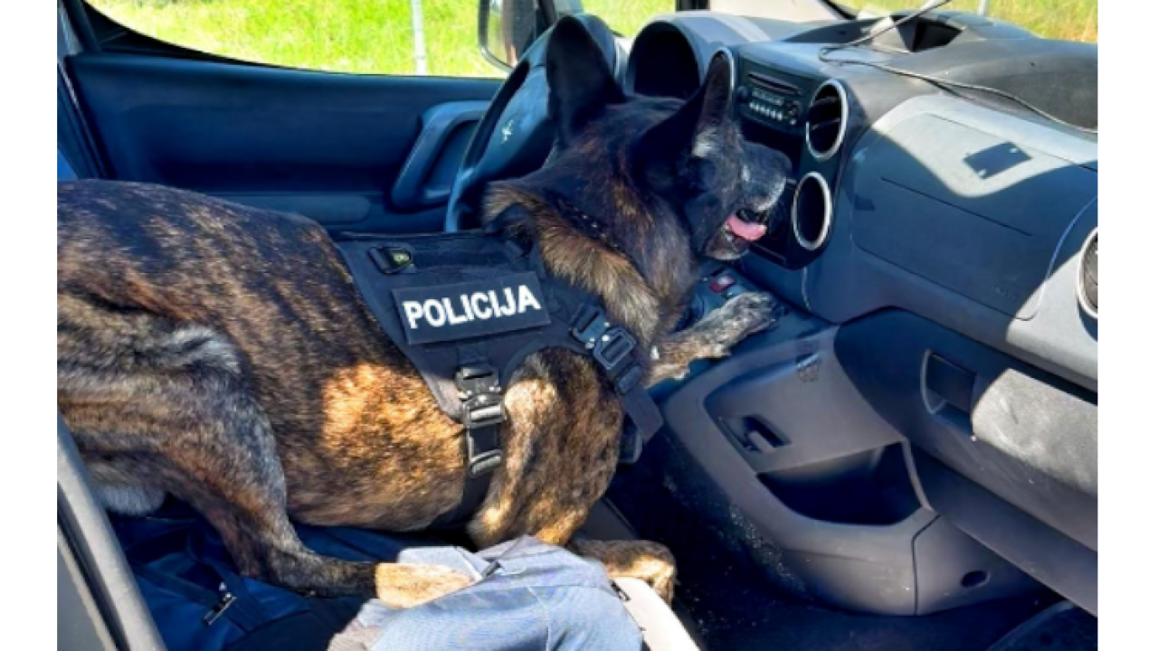 Zaustavljen na A1: Umjesto zračnog jastuka, imao 4,3 kg kokaina u autu