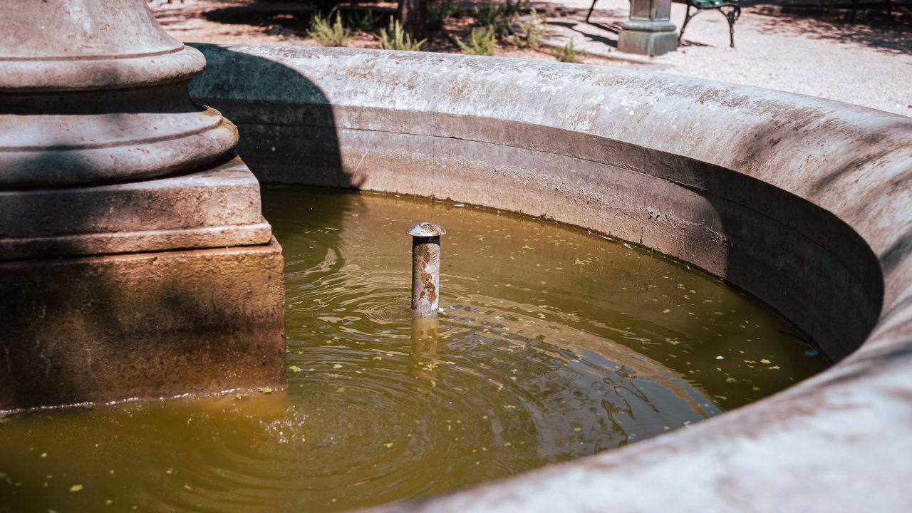 Fontana stala, voda mutna: Prizor iz perivoja Roberta Visianija bode u oči, Zeleni grad otkrio krivca