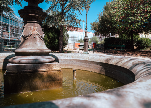 Fontana stala, voda mutna: Prizor iz perivoja Roberta Visianija bode u oči, Zeleni grad otkrio krivca