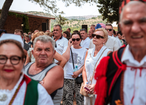 Fotografija 9 - FOTO Blagdan Velike Gospe u Vrpolju: Brojni vjernici okupili su se jutros na svečanom misnom slavlju