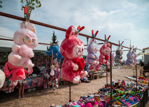 Fotografija 52 - FOTO Blagdan Velike Gospe u Vrpolju: Brojni vjernici okupili su se jutros na svečanom misnom slavlju