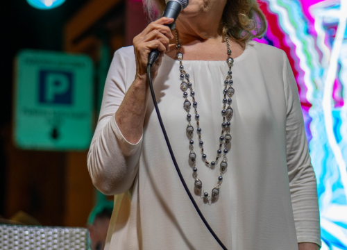 Fotografija 3 - Skitnica i ostali hitovi odjekivali vodičkom rivom: Nezaboravna večer s Jasnom Zlokić