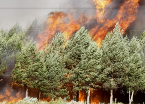 Španjolska uključila vojsku u borbu s 20 požara, temperature ne padaju