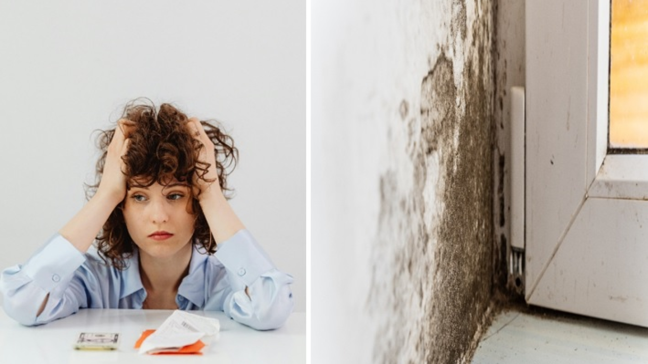 Još uvijek se borite s vlagom i plijesni, a računi za struju samo rastu? Vrijeme je za promjenu – uz pametno ventilacijsko rješenje!