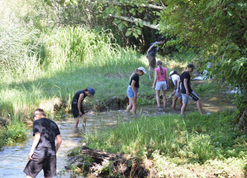 Mladi čuvari prirode okupili se u NP Krka na edukativnoj radionici