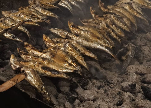 Fotografija 10 - More, glazba i otoci: Ljetna avantura ekipe ŠibenikIN-a do Korčule, Lastova i Visa