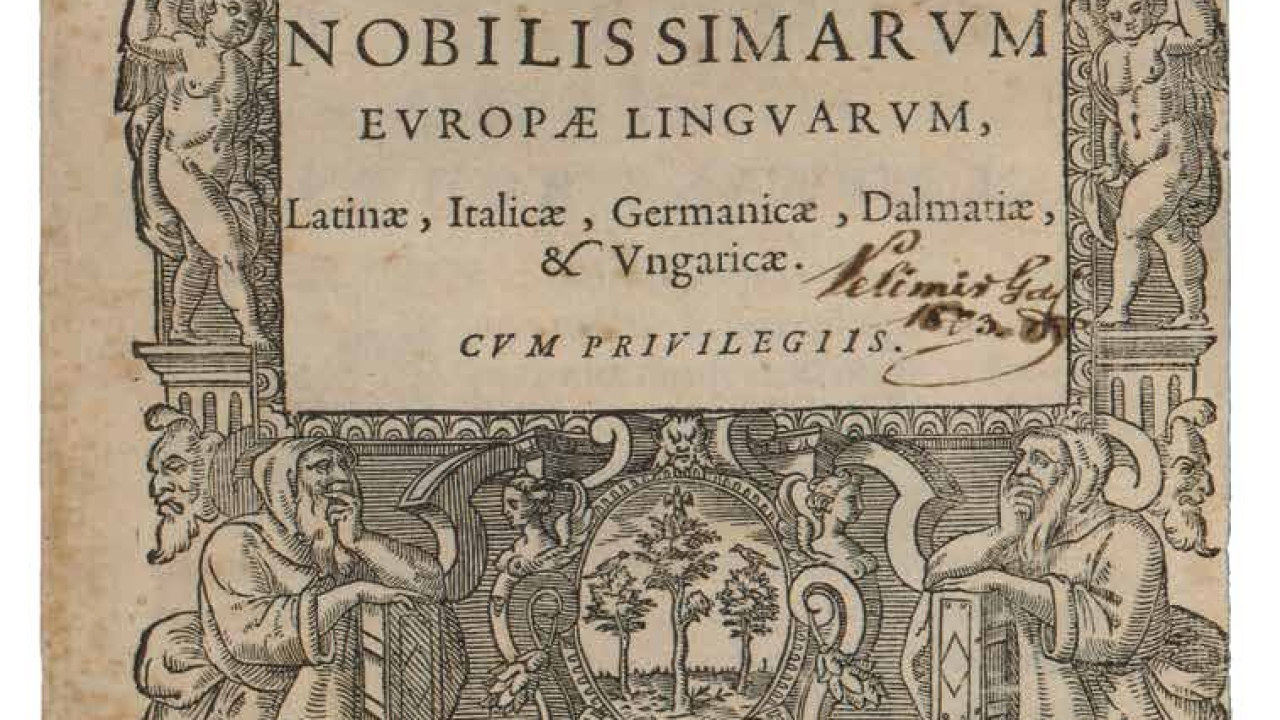 Leksikografsko remek-djelo Šibenčanina Fausta Vrančića: Na današnji dan objavljen prvi rječnik hrvatskog jezika