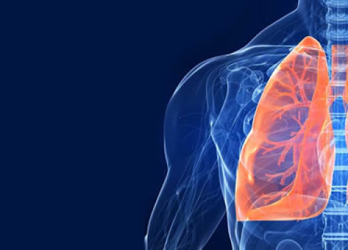 Fotografija 1 - FOTO Dolazi jesen i izazovi s alergijama, KOPB-om i astmom, olakšajte si ih uz sveobuhvatni pristup Poliklinike Gemini