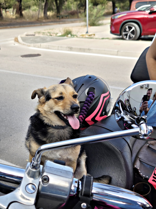 Članovi moto kluba posjetili Kamenčiće