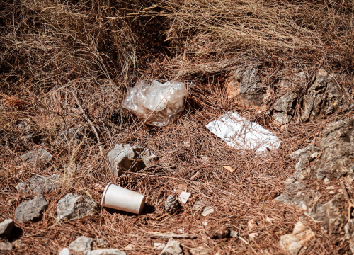 Fotografija 8 - Smeće umjesto ljetne idile na stjenovitoj plaži u Brodarici