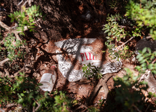 Fotografija 2 - Smeće umjesto ljetne idile na stjenovitoj plaži u Brodarici