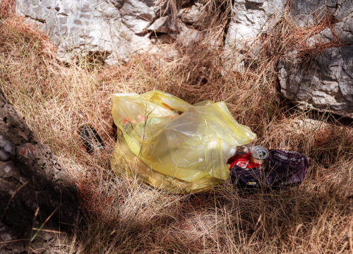 Fotografija 1 - Smeće umjesto ljetne idile na stjenovitoj plaži u Brodarici