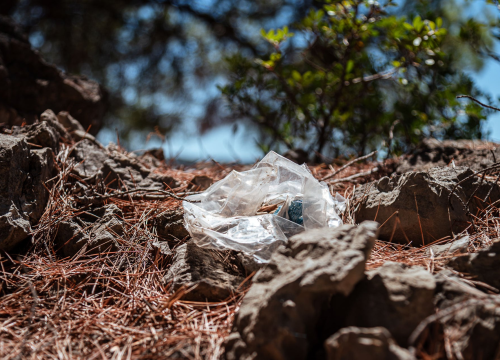 Fotografija 5 - Smeće umjesto ljetne idile na stjenovitoj plaži u Brodarici