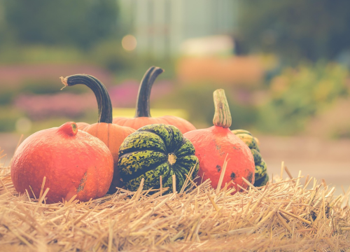 Pet jesenskih namirnica koje poboljšavaju pamćenje