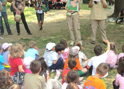 Fotografija 3 - Rujan u NP „Krka“: edukativne radionice i programi za djecu i mlade