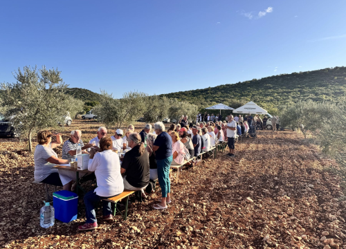 'Piknikom u masliniku' Ante Urema i Borislava Čubrića službeno završilo 'Lito u Pirovcu'