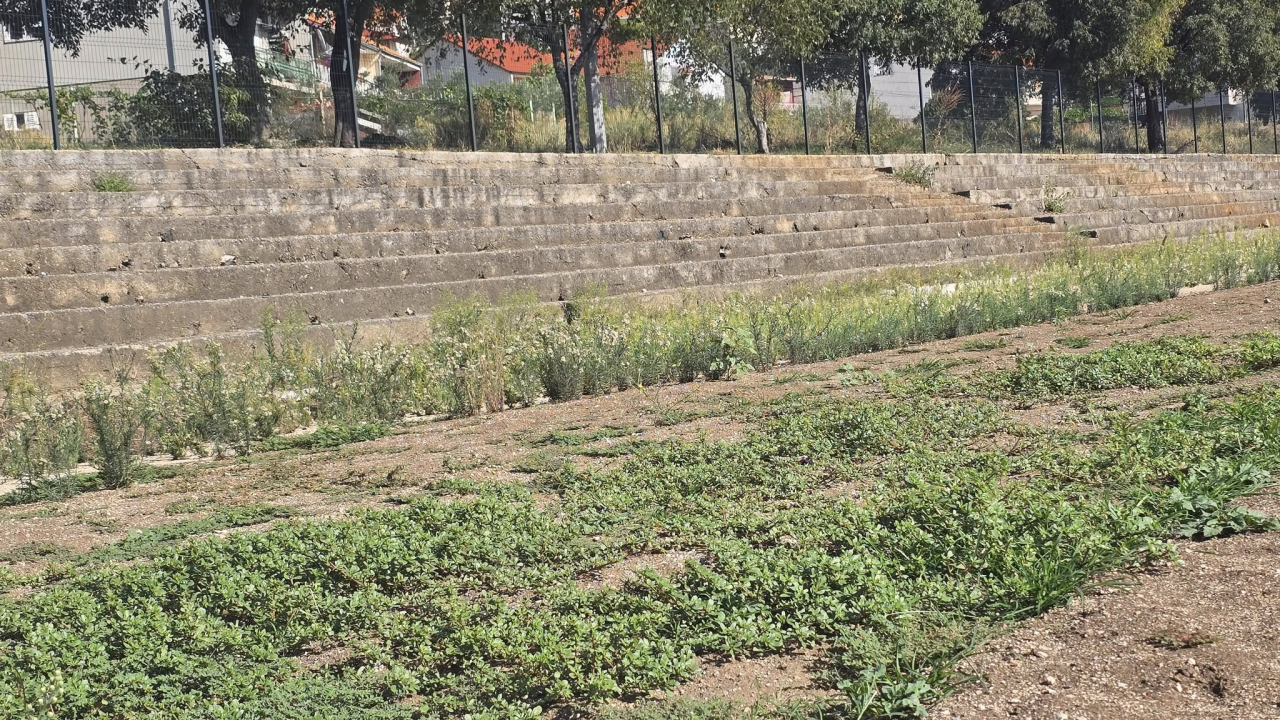 Igralište Metalca opet obraslo u korov, dok mladi nogometaši čekaju svoj dom