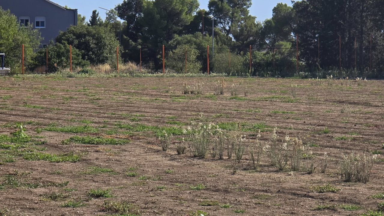 FOTO Igralište Metalca opet obraslo u korov, dok mladi nogometaši čekaju svoj dom