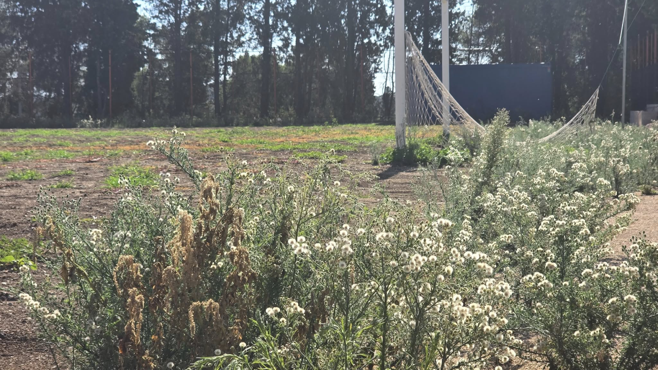Igralište Metalca opet obraslo u korov, dok mladi nogometaši čekaju svoj dom