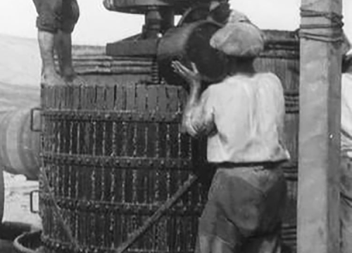 Fotografija 1 - Priča o ćukteru:  Jeste li znali da su šibenski težaci od ciđe radili slatku deliciju?