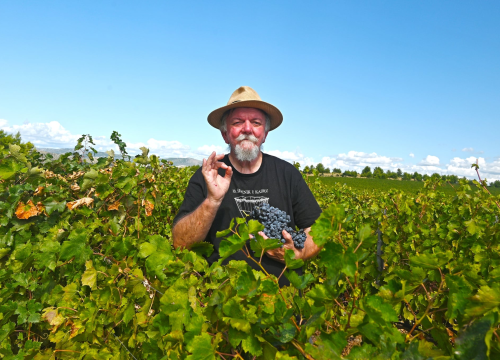 Fotografija 5 - Priča o ćukteru:  Jeste li znali da su šibenski težaci od ciđe radili slatku deliciju?