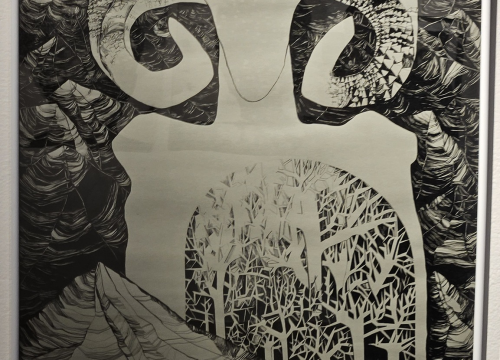 Fotografija 11 - U galeriji Kninskog muzeja otvoren 2. Trijenale portreta. Dodijeljene nagrade najboljim autorima