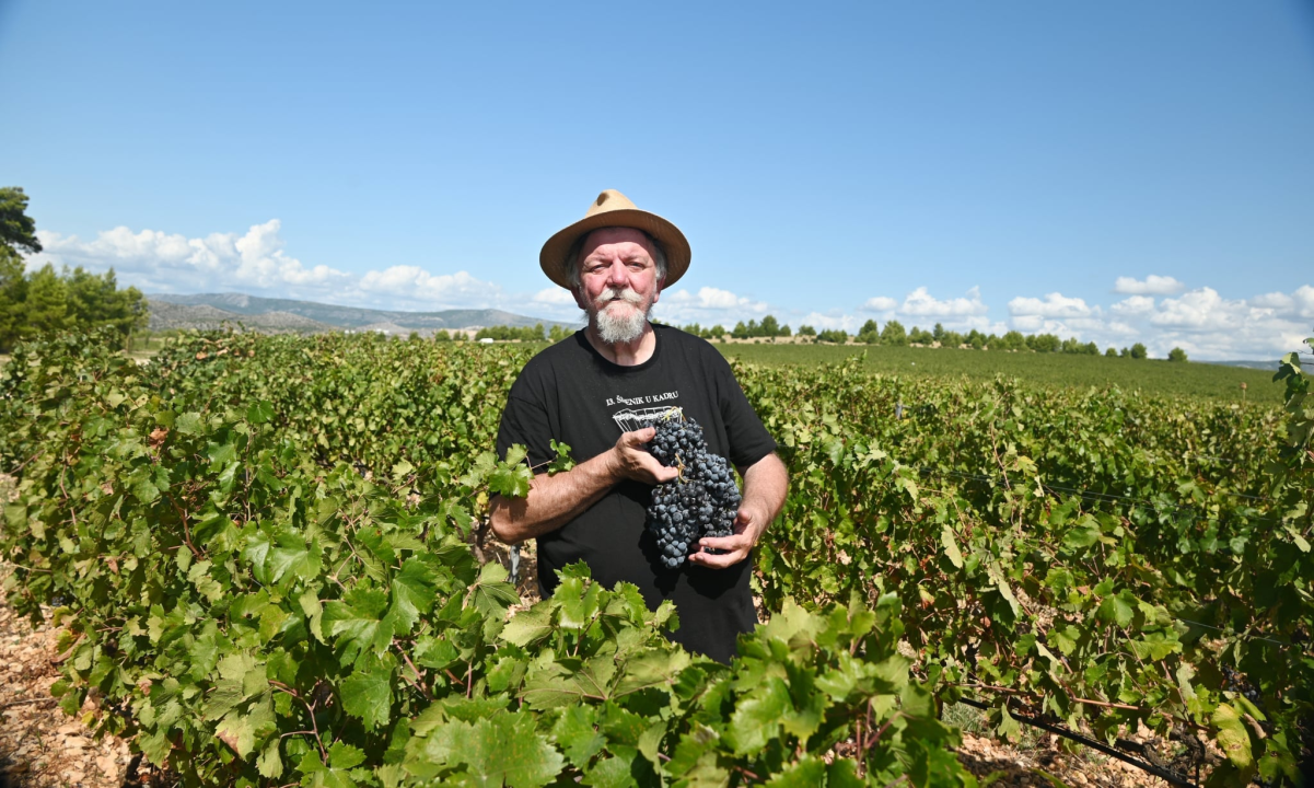 Priča o ćukteru:  Jeste li znali da su šibenski težaci od ciđe radili slatku deliciju?