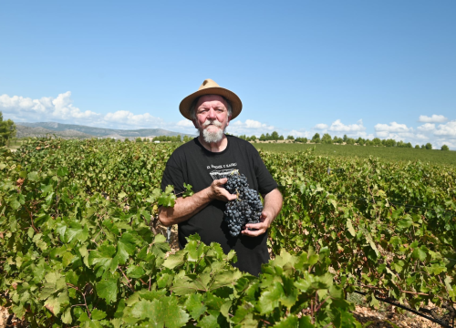 Fotografija 8 - Priča o ćukteru:  Jeste li znali da su šibenski težaci od ciđe radili slatku deliciju?