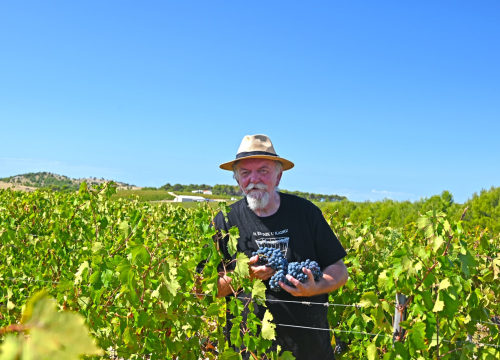 Fotografija 9 - Priča o ćukteru:  Jeste li znali da su šibenski težaci od ciđe radili slatku deliciju?