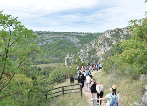 Fotografija 7 - Četrdeset mladih čuvara prirode predano je istraživalo vrijednosti NP 'Krka'