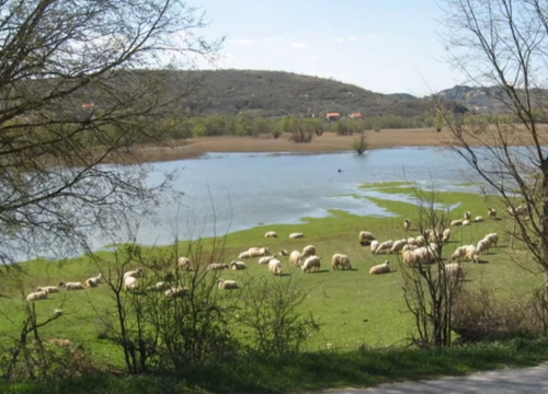 Prezimena iz općina Biskupija, Civljane, Ervenik i Kijevo: Od Amanovića i Bjedova do Šimprage i Teskere