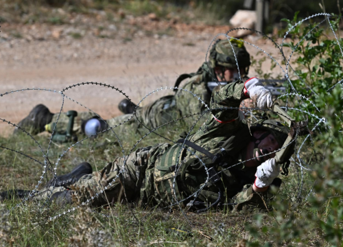 Fotografija 9 - Spektakularna vojna vježba kraj Knina: Pauci i Gromovi odmjerili snage