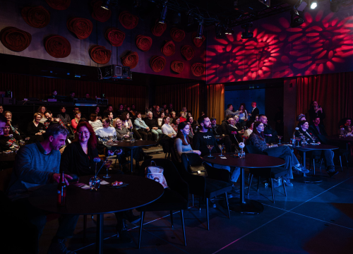 Amira Medunjanin otvara koncertnu sezonu u Arsenu: 'Publika u Šibeniku uvijek me dirne toplinom'