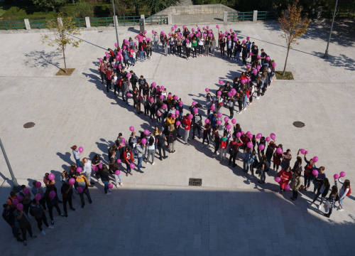 Podizanje svijesti o važnosti pregleda: Liga protiv raka Grada Drniša obilježit će Dan ružićaste vrpce
