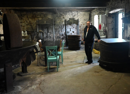 Fotografija 1 - Zlato Kruševa i ponos Primoštena: Uljarske priče i spiza koja je othranila generacije