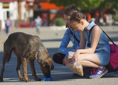 Ljudi rođeni u pet horoskopskih znakova vole pomagati drugima