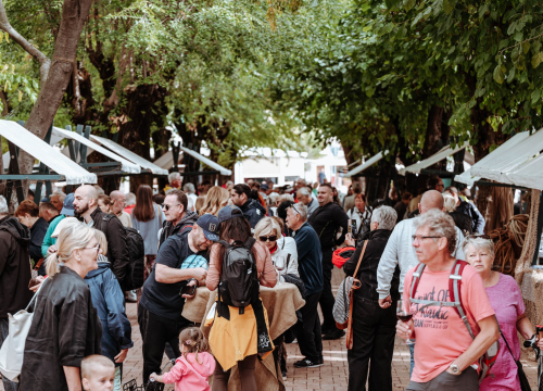 Fotografija 5 - Vodiški Đardin sutra se pretvara u oazu spize i dobrog vina