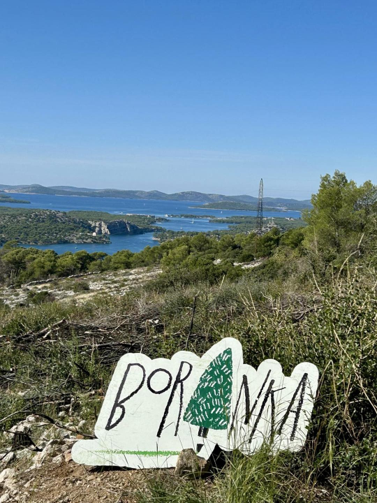 Održana prva od tri akcije pošumljavanja Šubićevca