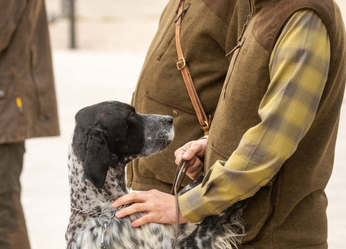 Fotografija 13 - U Drnišu otvoreno Državno prvenstvo u radu lovnih pasa