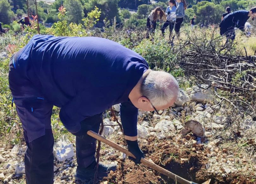 Fotografija 3 -  Održana prva od tri akcije pošumljavanja Šubićevca