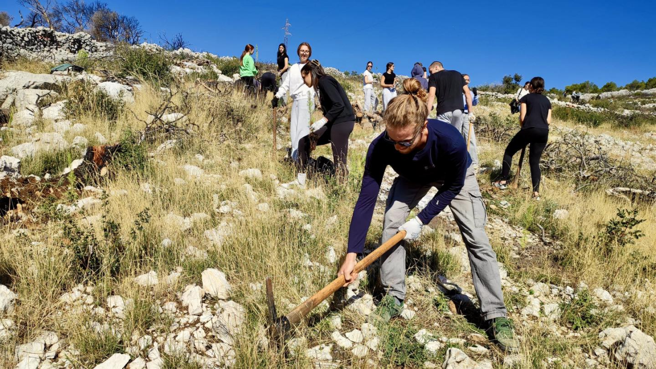 Održana prva od tri akcije pošumljavanja Šubićevca