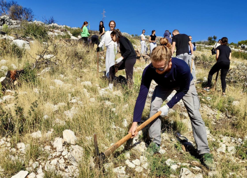 Fotografija 5 -  Održana prva od tri akcije pošumljavanja Šubićevca