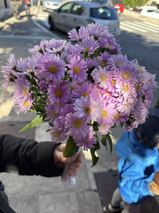 Obilježen Dan ružičaste vrpce u Drnišu