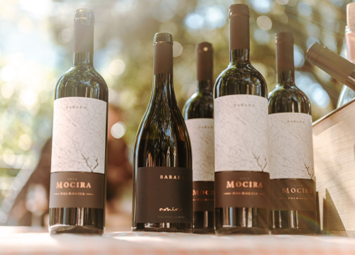 Fotografija 11 - Taste like...marenda