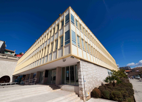 Ova sedmorka čini novi saziv županijskog Savjeta mladih