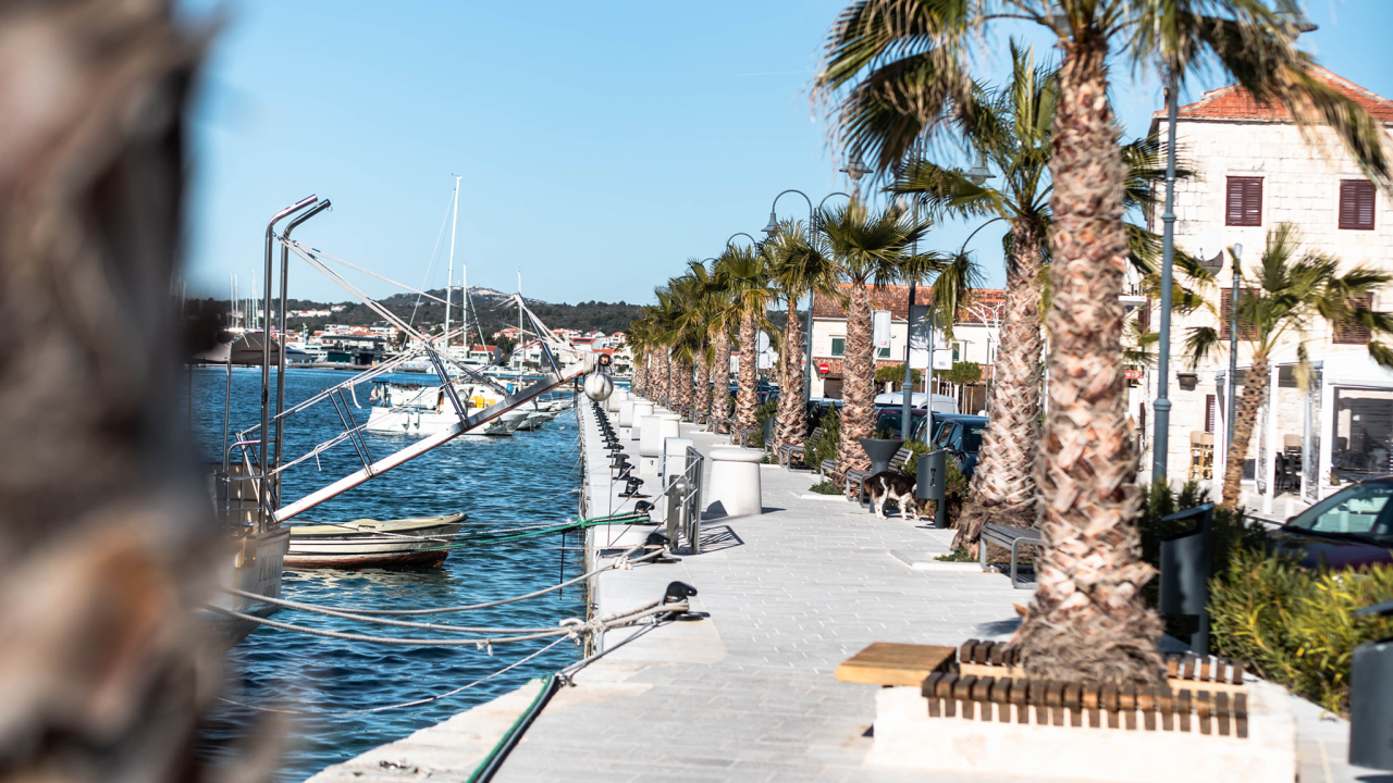 Idući tjedan na području općine Rogoznica jesenska deratizacija