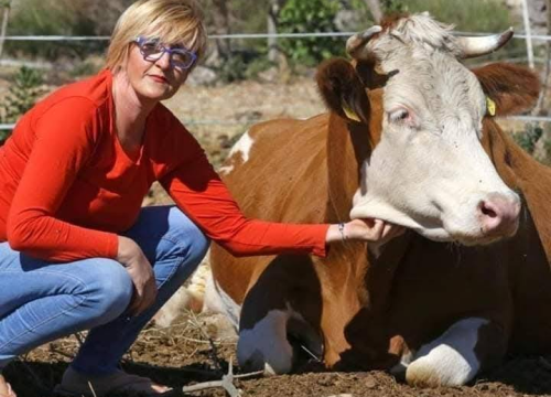 Fotografija 5 - Ivana Šimac Mehić predstavlja županiju na izboru za najuzorniju seosku ženu