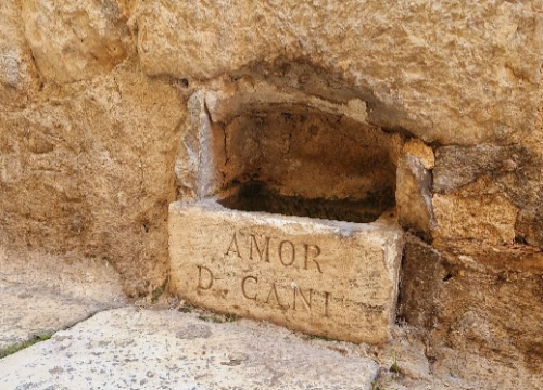 'Amor di cani' – šibenska pojilica koja stoljećima svjedoči o ljubavi prema psima